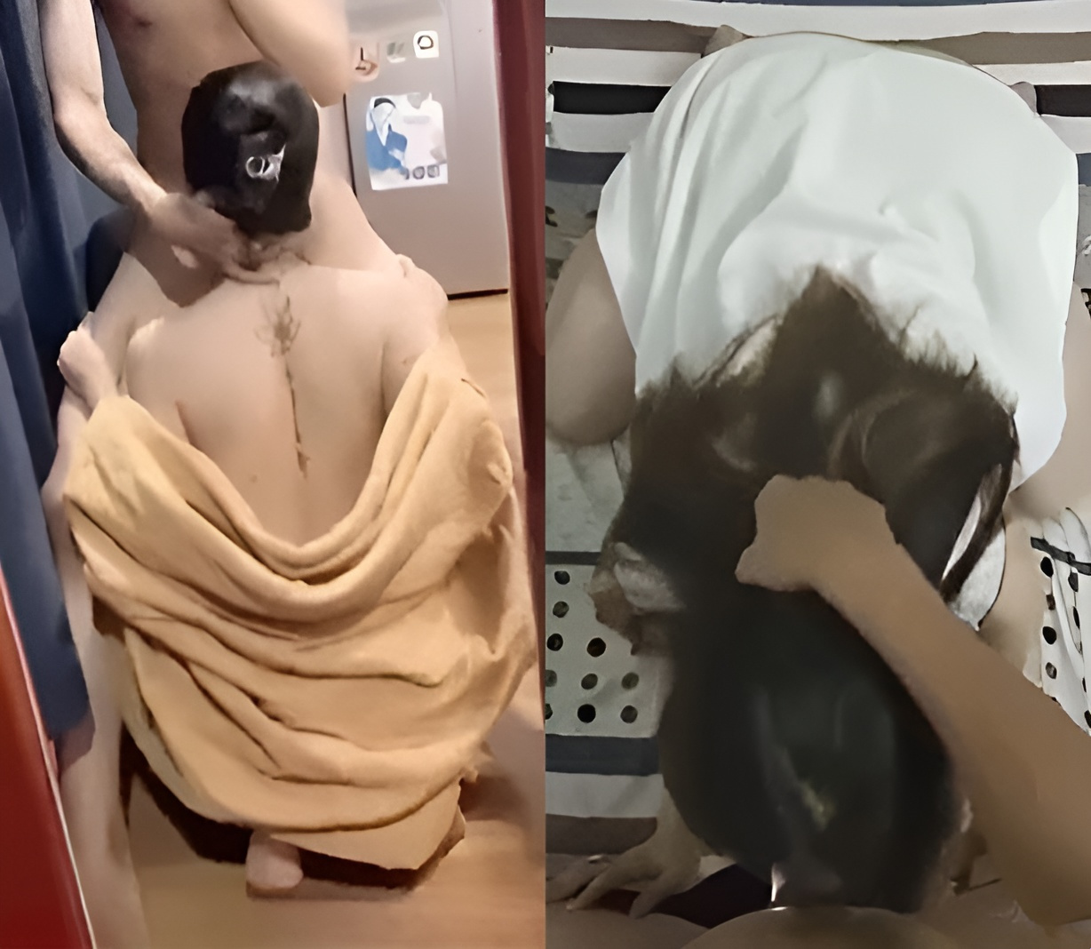 冬天并不冷